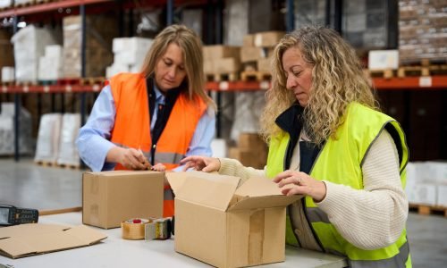 Female logistics employees working together packing products inside a cardboard box in a large warehouse